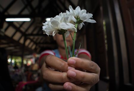Flower on handの写真素材