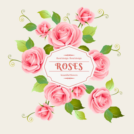 rose cardのイラスト素材