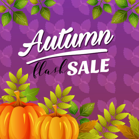 autumn flash sale vivid color with pumpkinのイラスト素材