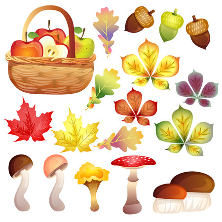 vivid autumn element setのイラスト素材