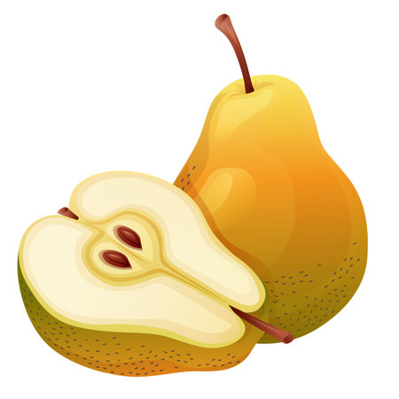 cut out half slice pear fruitのイラスト素材