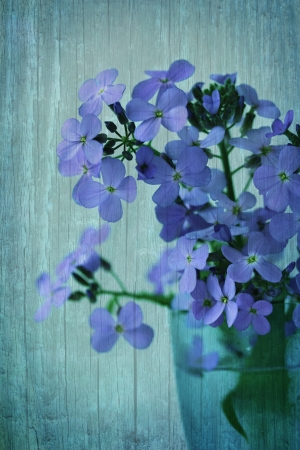 Grungy background in vintage style with delicate wildflowers.の写真素材