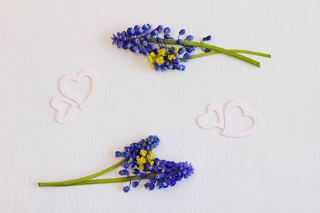 Minimalistic frame with flowers muscari and hearts on a white background. Flat lay. The top view.の写真素材