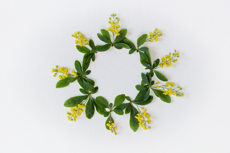 The wreath of flowers barberry. The top view. Flower frame on a white table.の写真素材