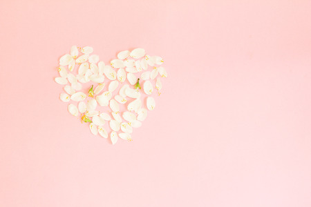 Delicate Valentine background with heart made of petals.  Heart of rose petals on a pink background.の写真素材
