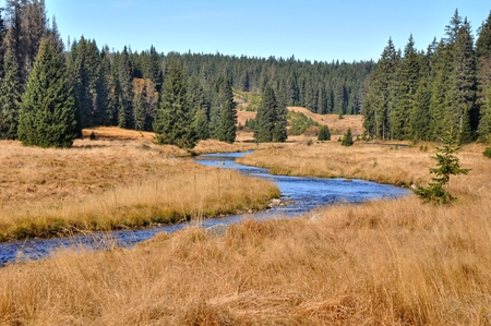 Autumn river flowing through the meadows surrounded by woodsの写真素材