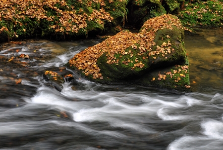 Autumn river with fast flowing water and rocks filled - leavesの写真素材