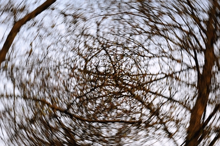Abstract view of the trees in nature - motion blurの写真素材