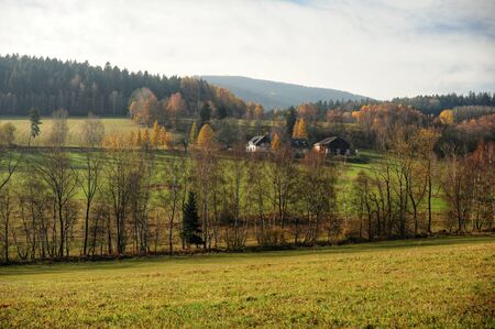 Sad autumn landscape in the warm evening sunの写真素材