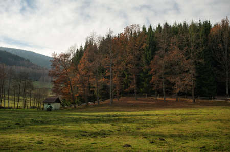 Sad autumn landscape in the warm evening sun