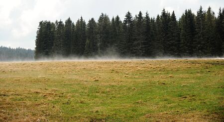 Spring landscape with meadow, trees and hills in Sumavaの写真素材