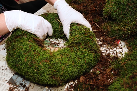 Manual production of a Christmas wreath of mossの写真素材