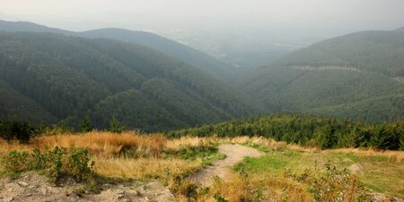 Panorama of beautiful green landscapes in the mist and rain