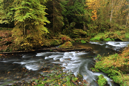 Autumn colored trees, leaves, rocks around the beautiful riverの写真素材