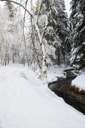 Winter landscape with snow in the Czech Switzerlandの写真素材