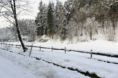 Winter landscape with snow in the Czech Switzerlandの写真素材