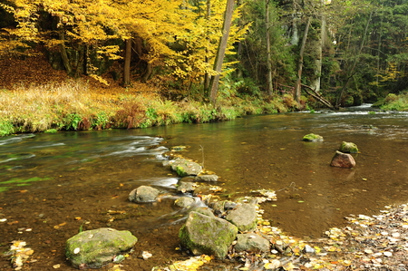 Autumn colored trees, leaves, rocks around the beautiful riverの写真素材