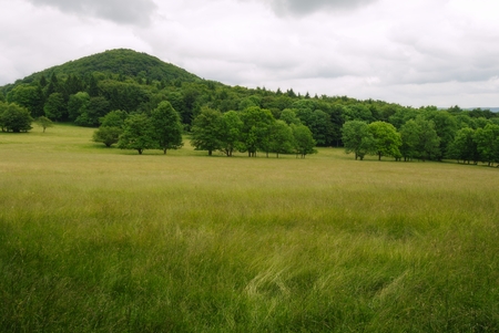 Beautiful summer landscape with meadows, forests and skyの写真素材