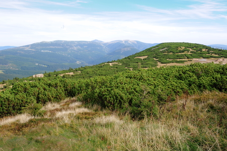 View of the rocky landscape of the Krkonoseの写真素材