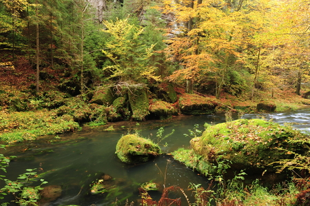 Autumn colored trees, leaves, rocks around the beautiful riverの写真素材