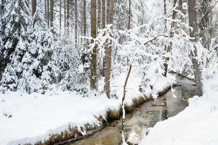 Winter landscape with snow in the Czech Switzerlandの写真素材