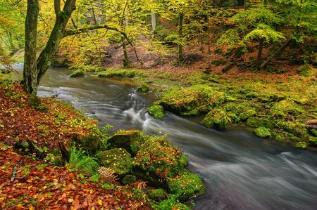 A beautifully clean river flowing through a colorful autumn forestの写真素材