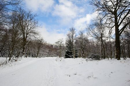 Winter landscape covered with snow and snow cloudsの写真素材