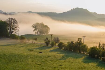 Autumn landscape with hills and forests in sunny morning mistの写真素材