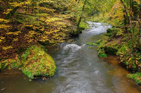 A beautifully clean river flowing through a colorful autumn forestの写真素材