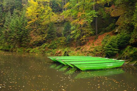 A beautifully clean river flowing through a colorful autumn forestの写真素材