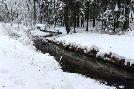 Winter landscape with snow in the Czech Switzerlandの写真素材