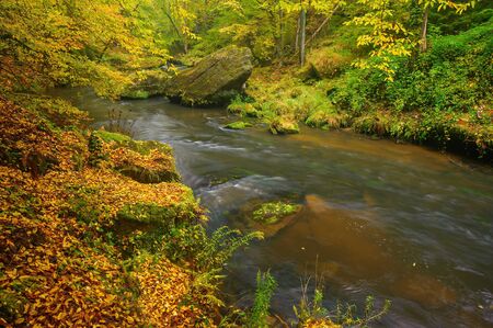 A beautifully clean river flowing through a colorful autumn forestの写真素材
