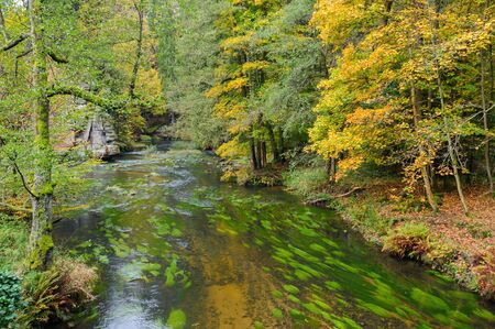 A beautifully clean river flowing through a colorful autumn forestの写真素材