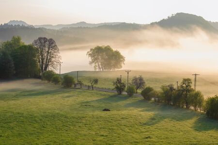 Autumn landscape with hills and forests in sunny morning mistの写真素材