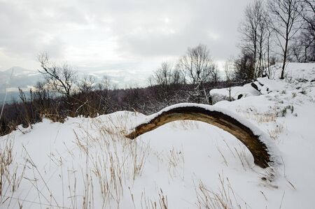 Winter landscape covered with snow and snow cloudsの写真素材