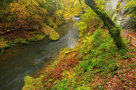 A beautifully clean river flowing through a colorful autumn forestの写真素材