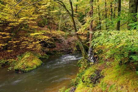 A beautifully clean river flowing through a colorful autumn forestの写真素材