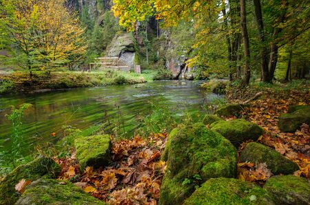 A beautifully clean river flowing through a colorful autumn forestの写真素材