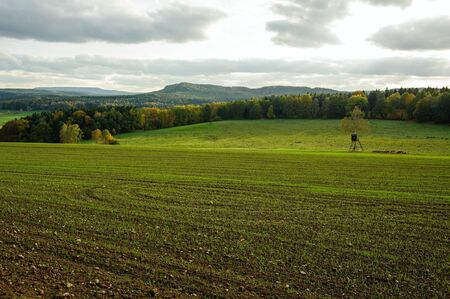 Autumn colorful landscape with forests, hills, sun and skyの写真素材