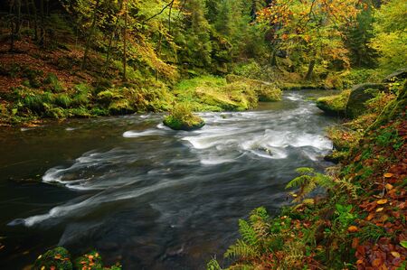 A beautifully clean river flowing through a colorful autumn forestの写真素材