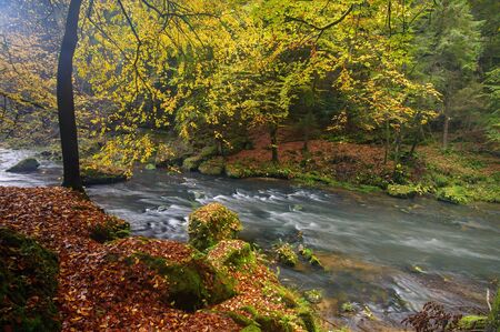 A beautifully clean river flowing through a colorful autumn forestの写真素材