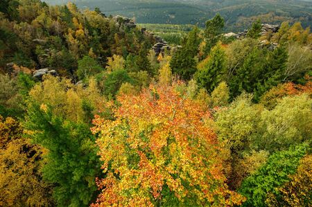 Autumn landscape - rocks, forests - all beautifully coloredの写真素材