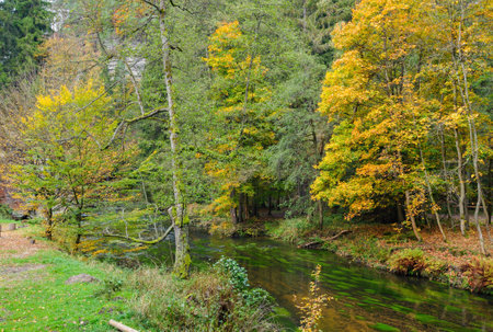 A beautifully clean river flowing through a colorful autumn forestの写真素材