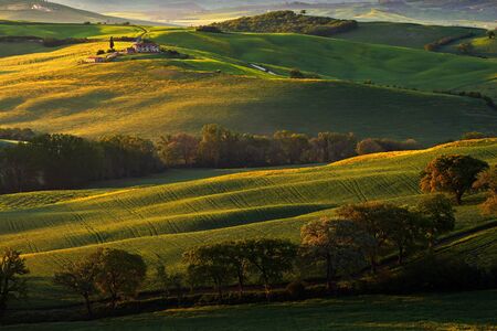 Tuscany landscape with fog. Sunrise morning in Tuscany landscape. Idyllic view of hilly meadow in...