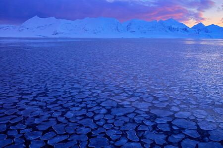 White snowy mountain, blue glacier Svalbard, Norway. Ice in ocean. Iceberg twilight in North pole....