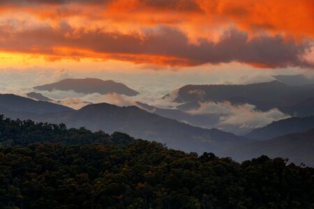 Cold misty foggy morning with twilight sunrise in a valley in Costa Rica mounitain. Hills with fog,...
