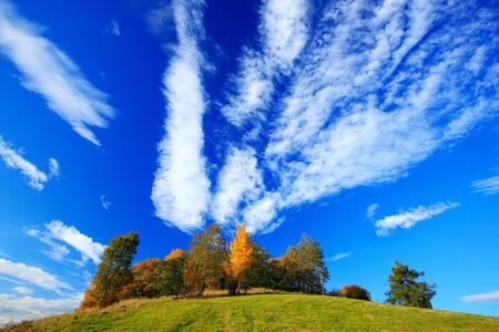 Orange leaves trees with dark blue sky with white clods. Morning view after sunrise, autumn view, orange landscape, Rynartice, Bohemian Switzerland National Park, Czech. Beautiful scene with clouds.の写真素材
