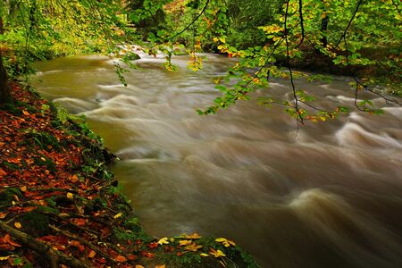 Autumn landscape with orange and yellow leaves in the water, big rock in the background