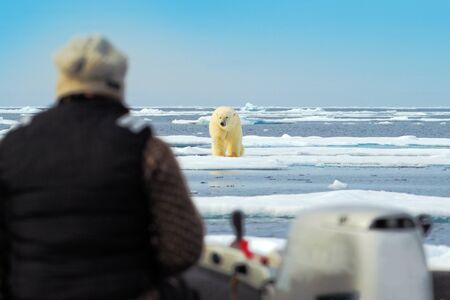 Man with polar bear, dangerous situation in the sea. Human in the Arctic nature. Polar bear on drift ice edge with snow and water in Russia sea. White animal in the nature habitat, wild Europe.の写真素材
