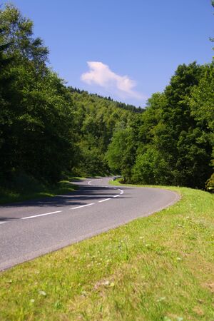 Road with centerline between trees with lawn in front partの写真素材